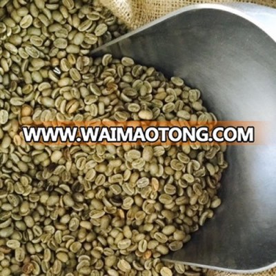 Robusta Green coffee beans in All Grades